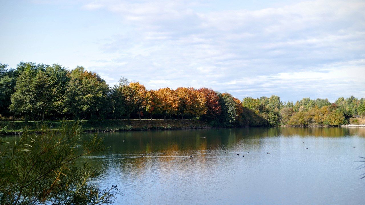 Natuurreservaat Ploegsteert steenbakkerij